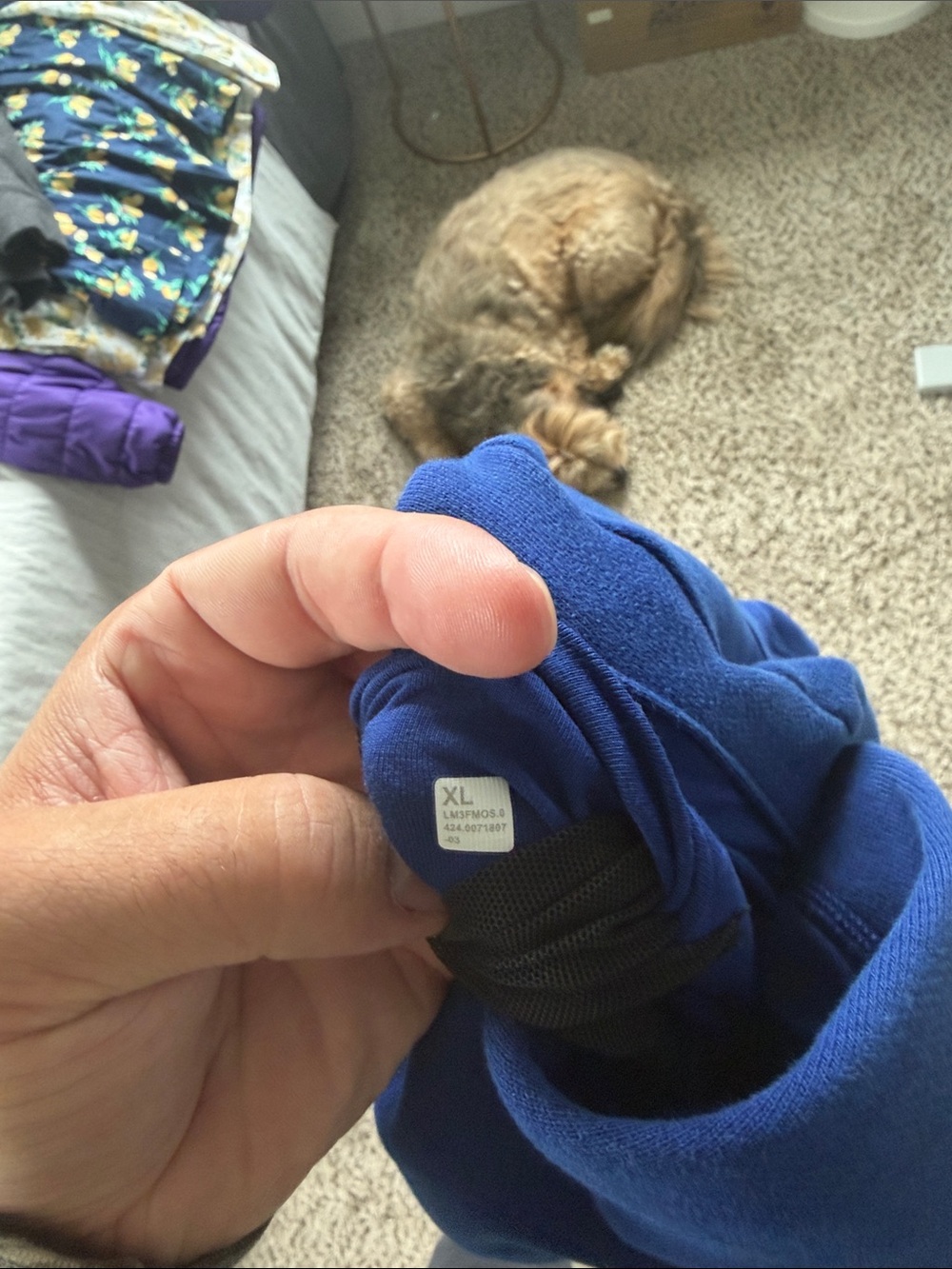 lululemon athletica Classic Solid Blue Pullover Hoodie - Picture 3 of 3
